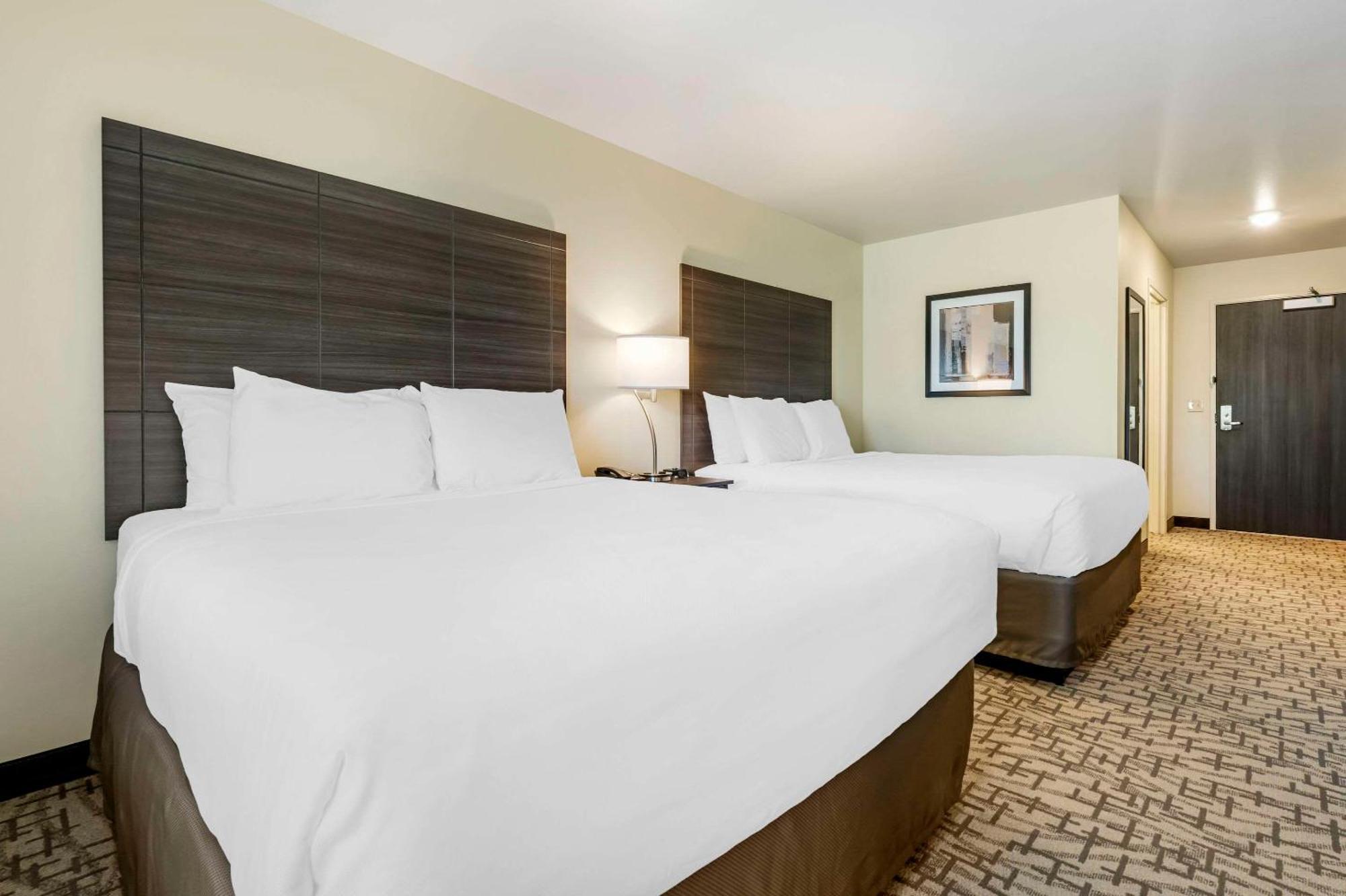 Comfort Inn & Suites Medina Kültér fotó