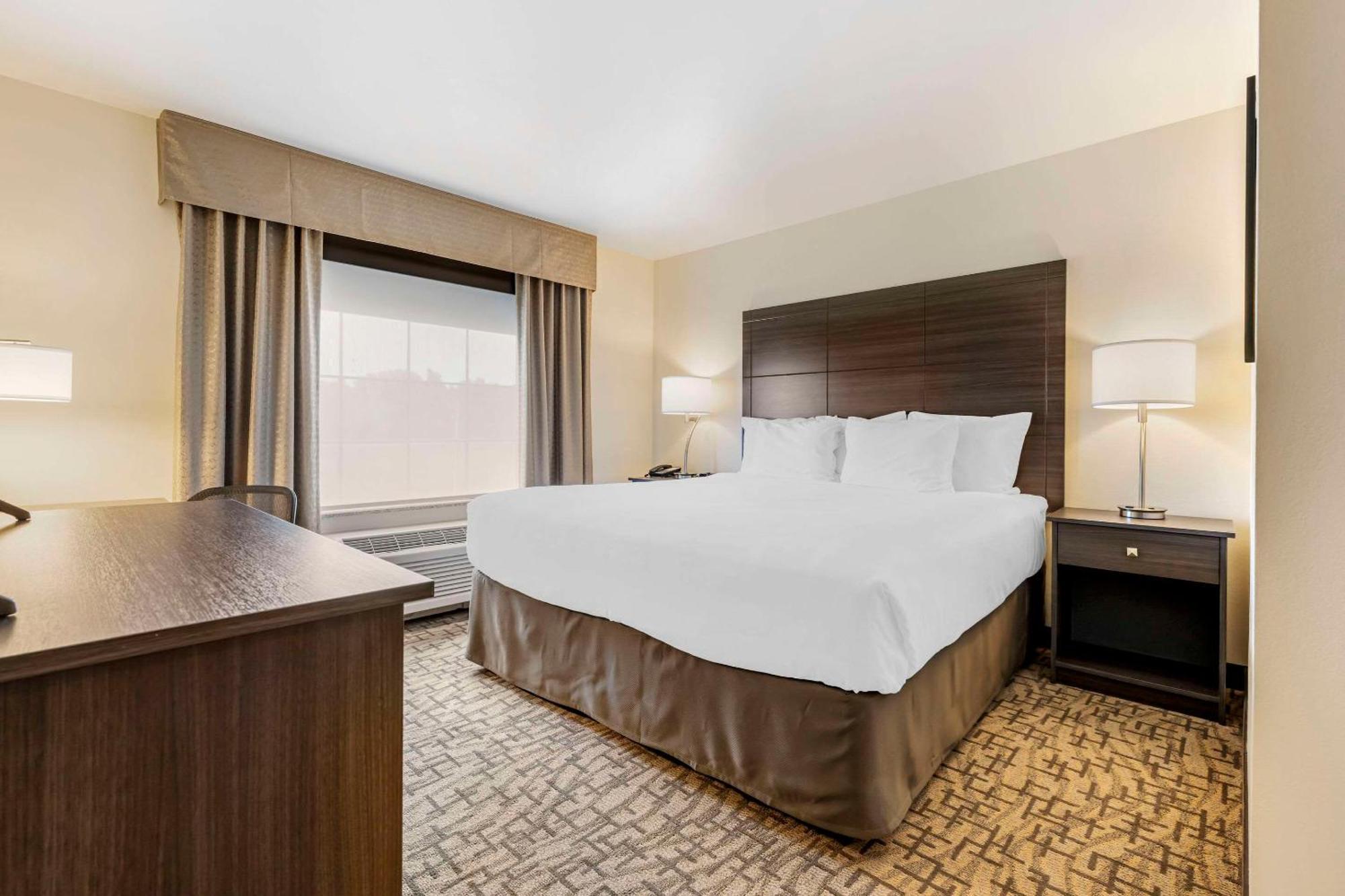 Comfort Inn & Suites Medina Kültér fotó