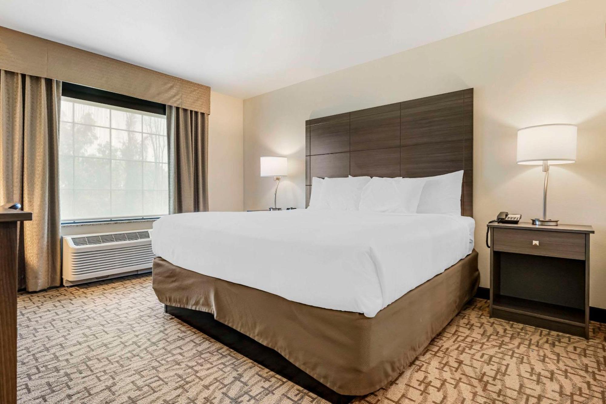 Comfort Inn & Suites Medina Kültér fotó