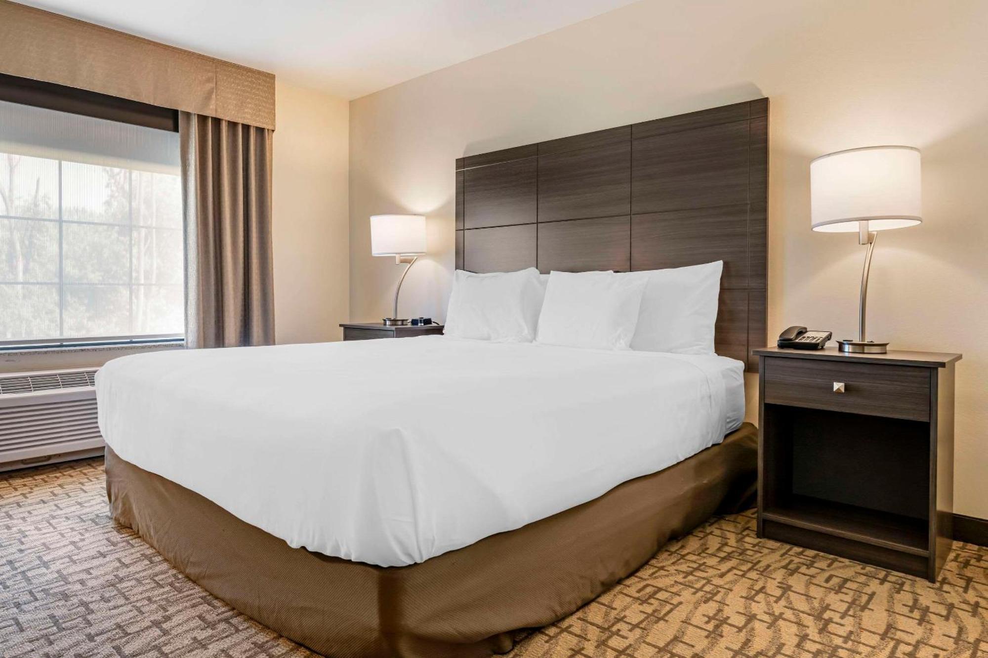 Comfort Inn & Suites Medina Kültér fotó